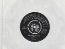 THE UNTAMED-FREAKBEAT-MOD-IT'S NOT TRUE-RARE 1965 UK PLANET RECORDS -WHO COVER