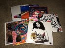 RED HOT CHILI PEPPERS - 7 ALBUMS - 180 GRAM VINYL BUNDLE - 10 LP's
