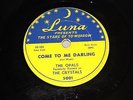 Doo Wop 78 The Opals Come To Me Darling/Squeeze Baby Crystals LUNA RARE +FREE 45