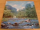 MARK & BONNIE BRANCIAROLI LP WANDERING THE WOODS PRIVATE PRESS FOLK PSYCH 1979