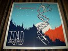 SEALED Toad The Wet Sprocket New Constellation VINYL LP - KICKSTARTER FUNDED