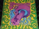 THE SACRED MUSHROOM s/t Original 1969 Acid Fuzz Psych Blues lp