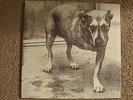 ALICE IN CHAINS, SELF TITLED,  2LP COLUMBIA C2 67248