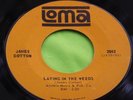 Hear Rare Blues 45: James Cotton   Laying In The Weeds   Loma 2042