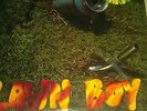Phish Lawn Boy deluxe edition Lp - No. 007131 RSD 2013 Unplayed 