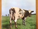 Pink Floyd - Atom Heart Mother Vinyl LP Gilmour, Waters, Wright, Mason