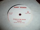 Hazzard Snake in the Grass 7