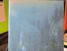 WOLVES IN THE THRONE ROOM Diadem Of 12 Stars double White Vinyl Rare
