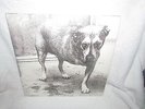 GRUNGE ROCK LP ALICE IN CHAINS 2 LP SET / 1995 / COLUMBIA #C2 67248 / 1ST PRESS