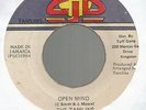 THE TAMLINS - OPEN MIND / VERSION              7