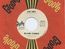 HEAR - Rare Northern Soul/Popcorn 45 - Dian James - Welcome Stranger - M-