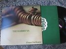 THE HABIBIYYA If Man But Knew  ORIGINAL UK MINT/NEAR MINT