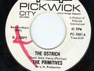Primitives 45 