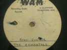 RARE unreleased OHIO GARAGE The Emmortals acetate WAM guitar driven rough vocals