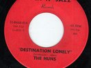 RARE GARAGE 45 The Huns 