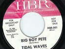 MICHIGAN GARAGE 45 Tidal Waves 