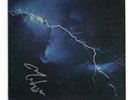 DIRE STRAITS - LOVE OVER GOLD - SIGNED BY ARTIST VINYL SLEEVE ONLY - ORIGINAL