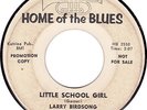 R&B LARRY BIRDSONG and the LARRYETTES  Little School Girl 45 BIG BEAT hear