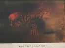 COCTEAU TWINS  - 'VICTORIALAND' (1986)  4AD  UK - RARE