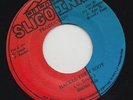 '87 SLIGO INN KILLER DIGI 45 SHATTER NILE HACKLE THEM BODY rare ?