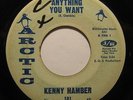 KENNY HAMBER anything you want ARCTIC northern soul 45 RARE *Listen*
