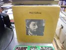 Peter Gallway Self Titled S/T LP 1971 Reprise Records VG+ [White Label Promo]
