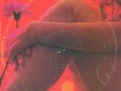 FRANCO CHIARI - MONSTER FENDER RHODES FUNK w\MAD SPACEY ELECTRONICS Library
