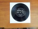 THE HERGS - STYLE OF LOVE - RARE OZ PSYCH GARAGE 7