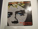 RARE ROGER TAYLOR - BEAUTIFUL DREAMS , PORTUGAL 7'' QUEEN UNIQUE