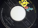 Rockabilly Bob Denton / Eddie Cochran guitar ? DOT 15743 (( ? )) Playboy