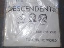The Descendents Ride The Wild 7