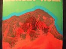 Hungry Tiger LP 1977 Magna Glide psych prog AOR tax scam RARE Acid Archives
