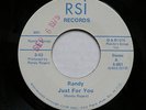 Private Outsider Folk Psych 45 RANDY ROGERS Just For You RSI Stamped 1975 LSD M-