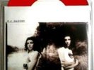 PJ Harvey 7