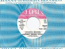 POSITIVELY 13 THIRTEEN O'CLOCK * 45 * Psychotic Reaction * 1960s HBR * DJ PROMO