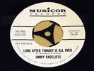 JIMMY RADCLIFFE *LONG AFTER TONIGHT IS ALL OVER* 7