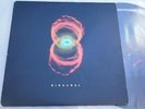 Pearl Jam - Binaural LP - Epic - Grunge Rock