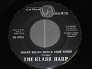 RARE PSYCH 45 The Glass Harp - Where Did My World Come From?- Phil Keaggy