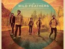 Wild Feathers (DlCD) - Wild Feathers - LP VINYL - Fast UK Post