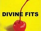 Thing Called Divine Fits - Divine Fits - LP VINYL - Fast UK Post