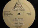 JESSIE ROGERS one monkey don't stop no show PYRAMID boogie funk 12