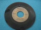 NEW MEXICO GARAGE ROCK/45/THE OUTER LIMITS/