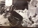 Nirvana Bleach Red Lp Foo Fighters Hole Soundgarden Pearl Jam Melvins