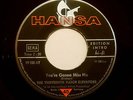 THIRTEENTH FLOOR ELEVATORS Hansa 7