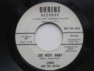 LINDA & THE VISTAS She Went Away Bad Apple Shrine WLP Northern Soul 45 HEAR