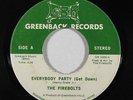Funk 45 FIREBOLTS Everybody Party Get Down / Hum Along Song on Greenback NM