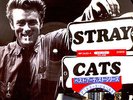LP - STRAY CATS - JAPAN TOUR 83 (ROCKABILLY) RARE PICTURE DISC LTD. EDIT. *NM