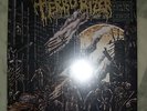 Terrorizer   Hordes Of Zombies   clear LP+ flexi 7