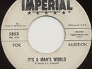 R&B/POPCORN/SOUL 45 Mary Ann Fisher - It's A Man's World (Imperial WLP) HEAR
