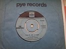 THE WINSTONS, COLOR HIM FATHER / AMEN, BROTHER. RARE ORIGINAL 1969 PYE SINGLE